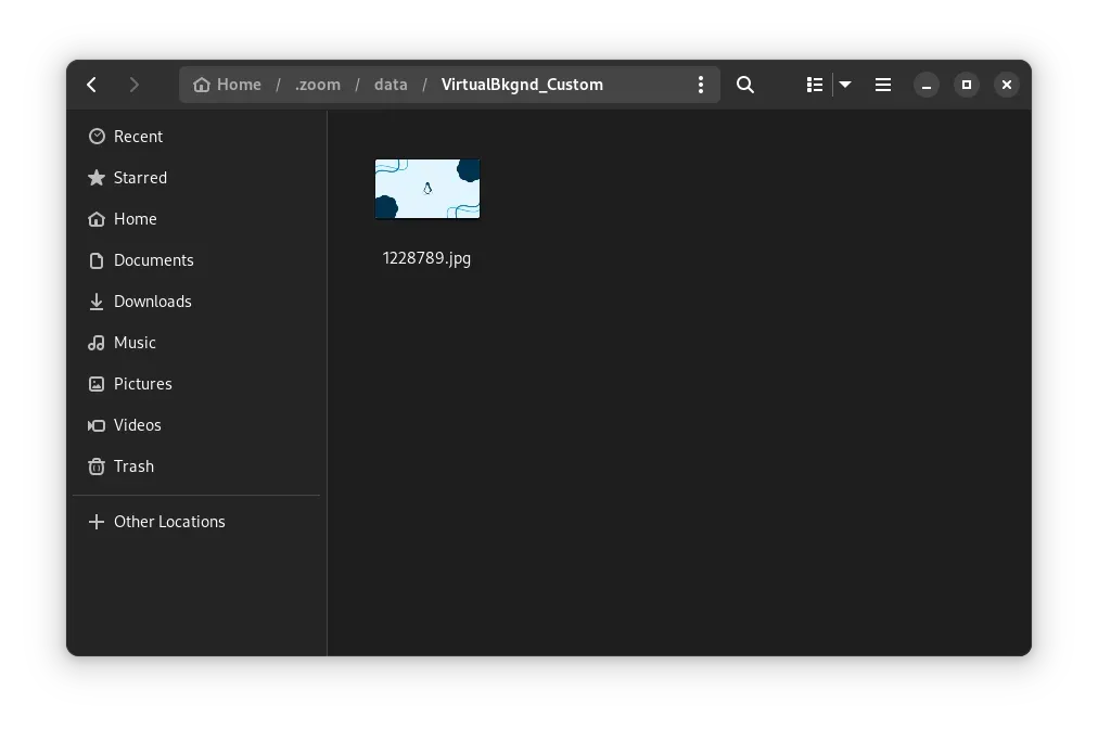 Copy the virtual background to ~/.zoom/data/VirtualBkgnd_Custom