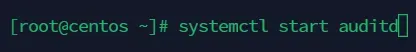 systemctl start auditd
