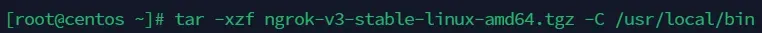 ngrok extract