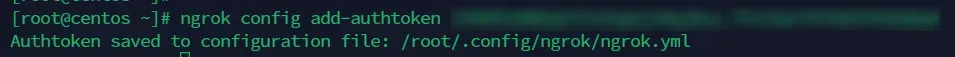 ngrok connect